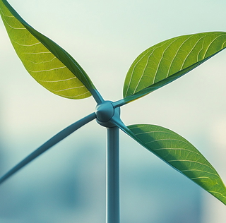 Immobilienmakler Energieberatung Serge Seibel