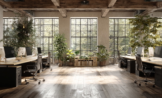 Immobilienmakler ARQ