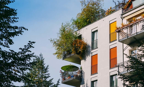 Immobilienmakler Sorglosmakler
