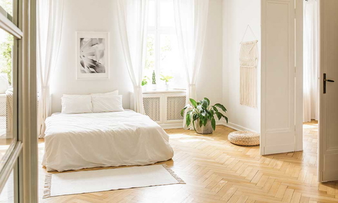 Immobilienmakler DKB Grund Magdeburg