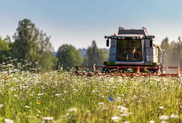 Ein Mähdrescher fährt auf einer Wildblumenwiese.