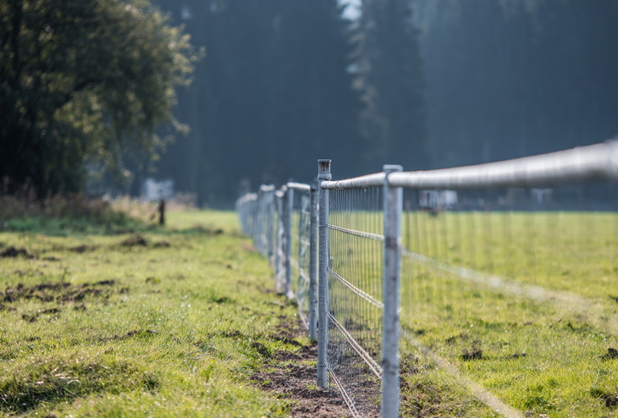 Ein Stahlzaun auf einer Wiese.