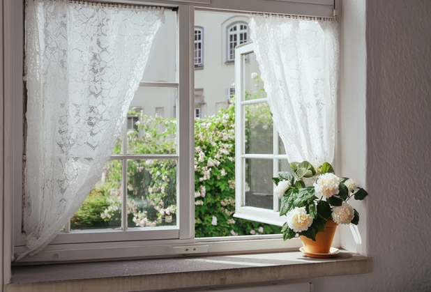 Ein Altbaufenster ist zum Lüften geöffnet, auf dem Fensterbrett steht eine Pflanze.