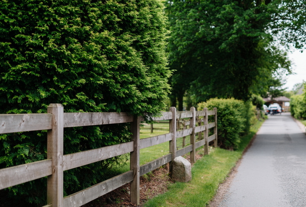 Ein Zaun und eine Hecke verdeutlichen eine Grundstücksgrenze.
