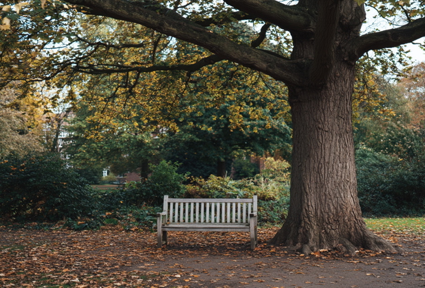 Eine leere Parkbank steht in einem Park oder Friedhof unter einer großen Eiche.